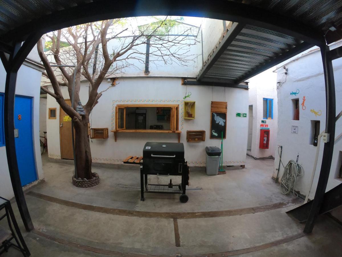 Rey Lagarto Hostel Сан-Педро-де-Атакама Экстерьер фото