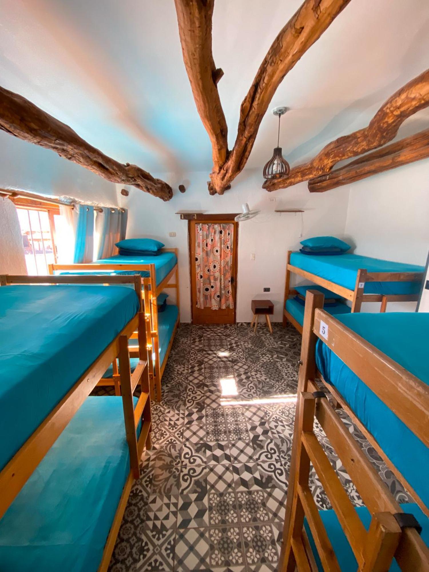 Rey Lagarto Hostel Сан-Педро-де-Атакама Экстерьер фото