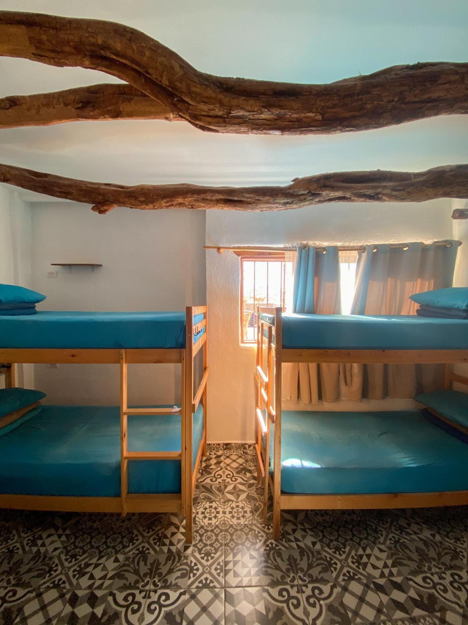 Rey Lagarto Hostel Сан-Педро-де-Атакама Экстерьер фото